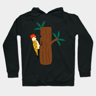 Colorful Woodpecker Hoodie